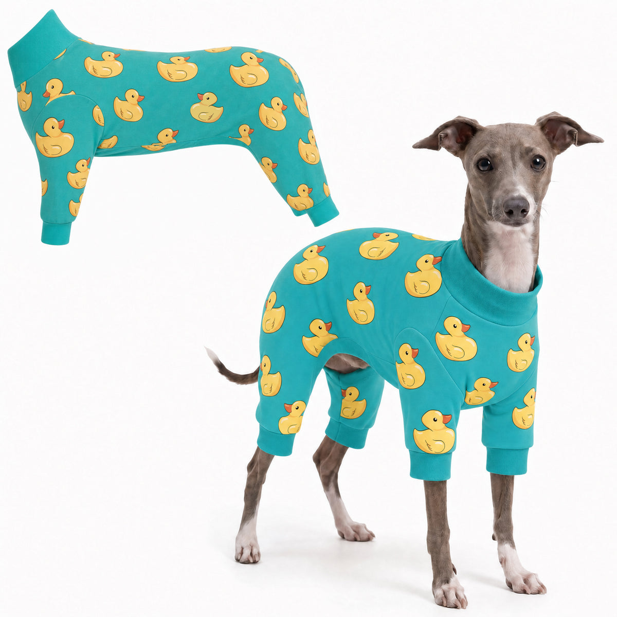 Dog wearing Duck Splash Comfort Pajamas, size X-Small, full body coverage from chest to legs