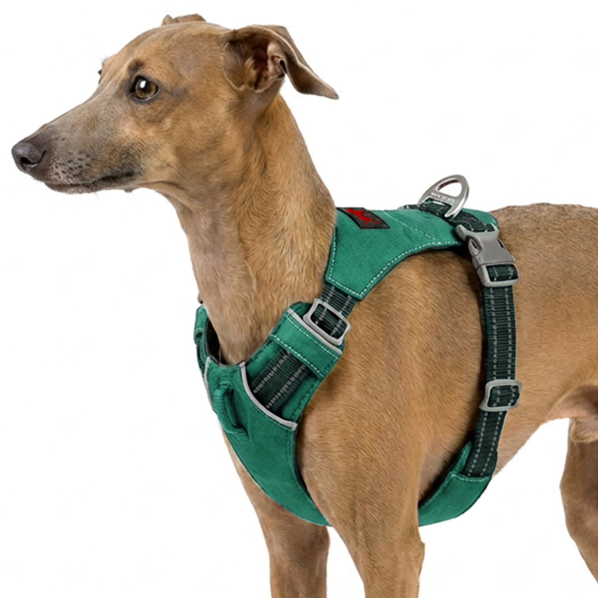 Trailblaze Lite Waterproof Harness in Tropical Teal, size XX-Small