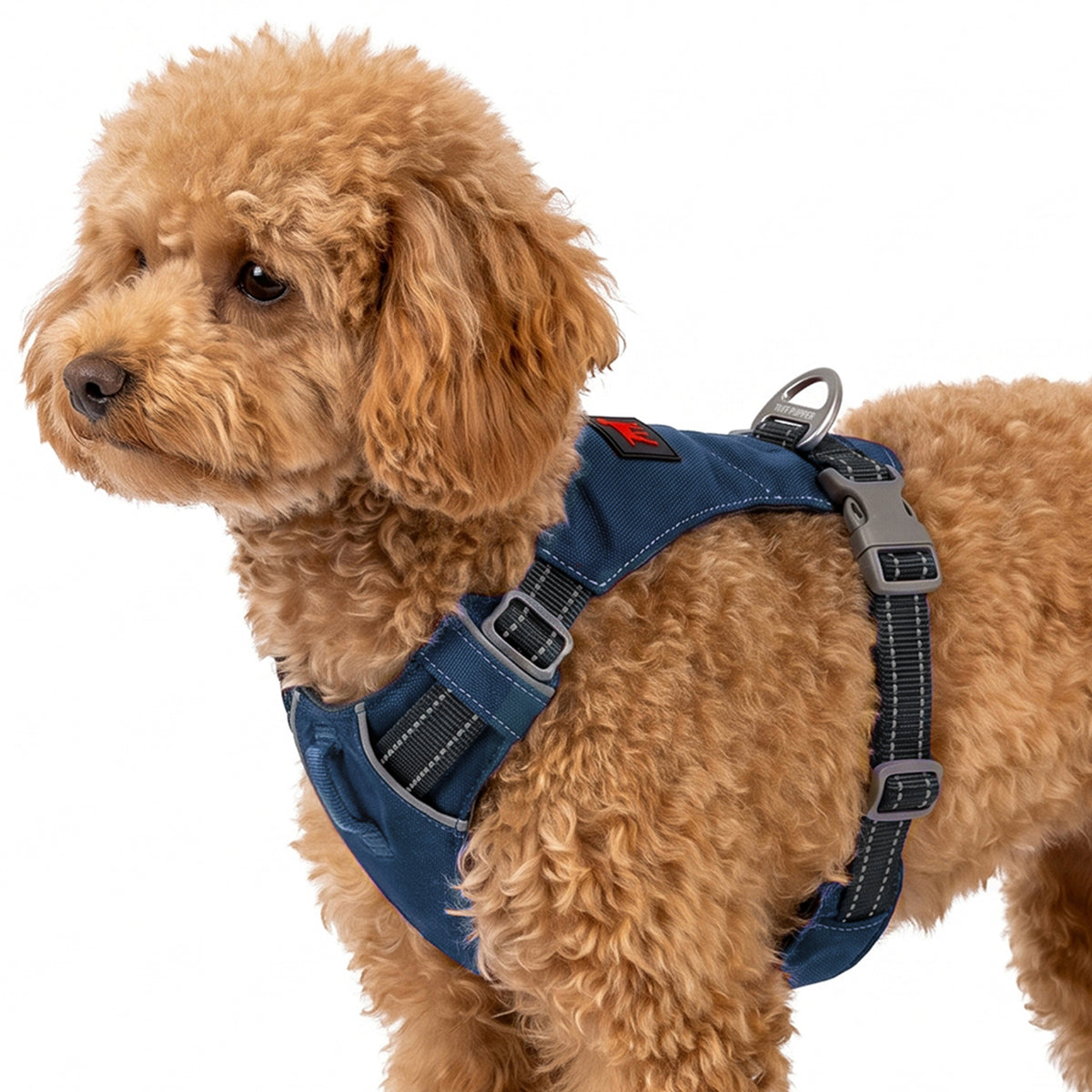 Trailblaze Lite Waterproof Harness in Twilight Blue, size XXX-Small