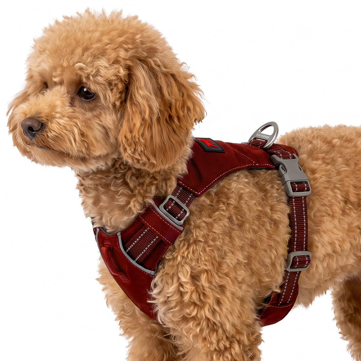 Trailblaze Lite Waterproof Harness in Crimson Red, size XXX-Small