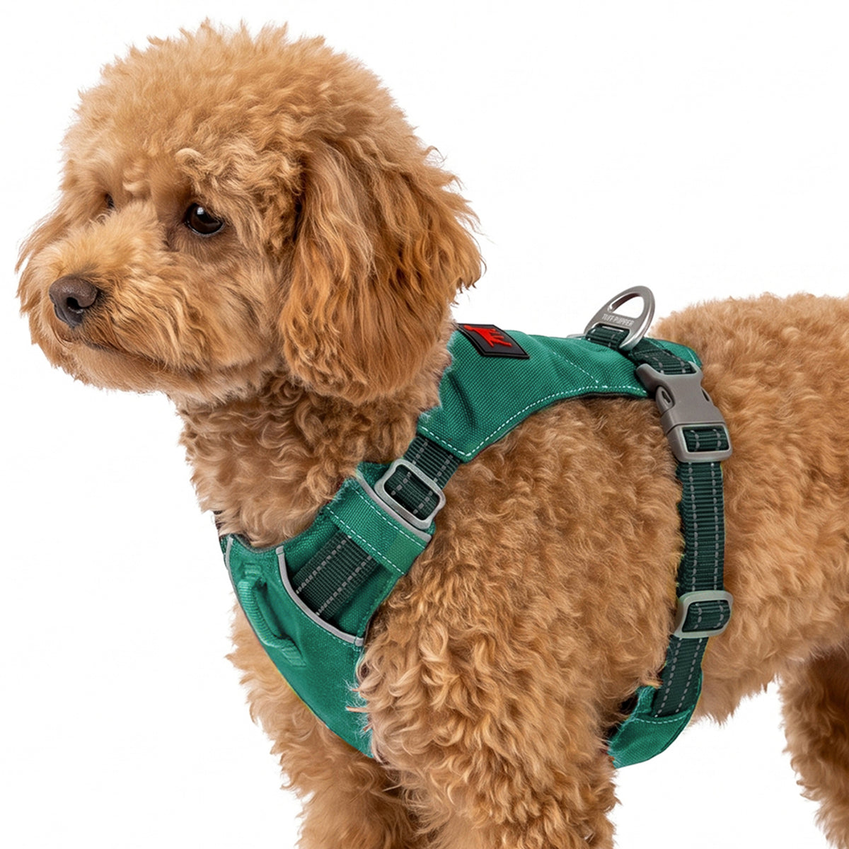 Trailblaze Lite Waterproof Harness in Tropical Teal, size XXX-Small