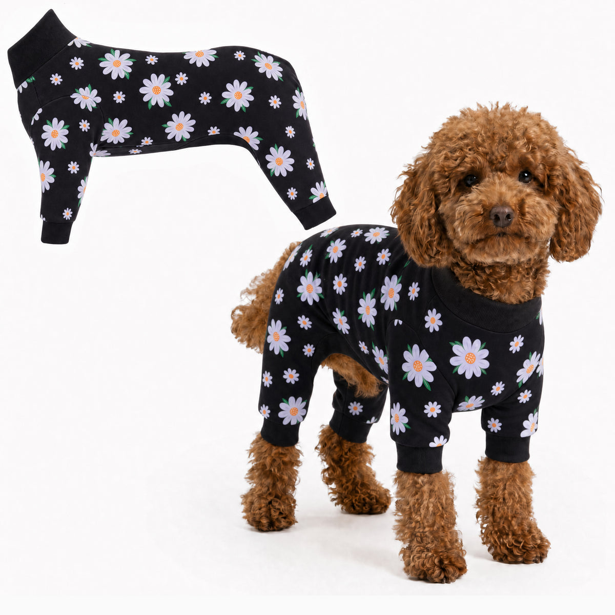 Dog wearing Daisy Bloom Comfort Pajamas, size XX-Small, full body coverage from chest to legs