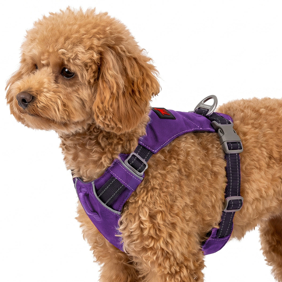 Trailblaze Lite Waterproof Harness in Deep Purple, size XXX-Small