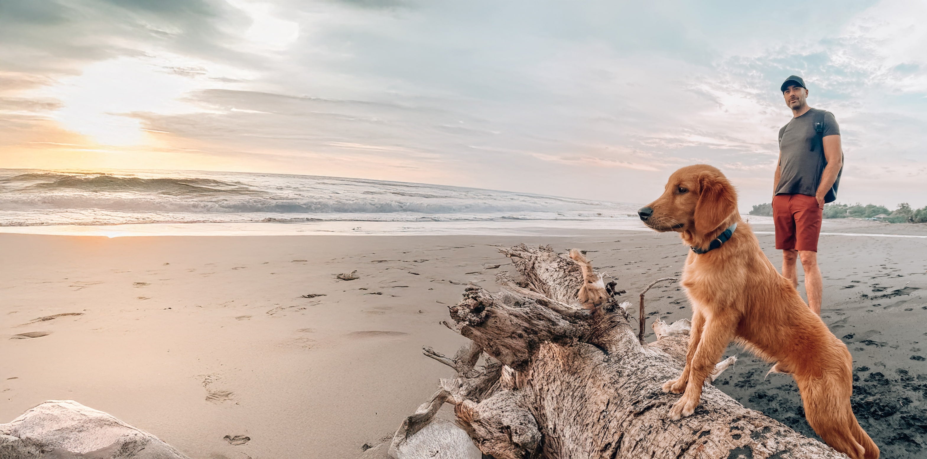 Man and dog standing on a beach with a sunset in the background