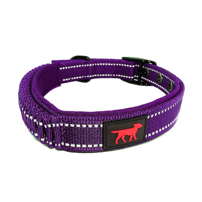 Tuff Pupper - Bungee Handle - Safety Collar - Purple