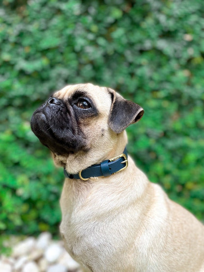 Tuff Pupper - Classic - Waterproof Collar - Midnight Blue