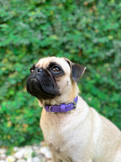 Tuff Pupper - Classic - Waterproof Collar - Royal Purple