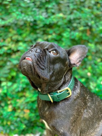 Tuff Pupper - Classic - Waterproof Collar - Forest Green