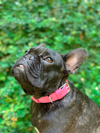 Tuff Pupper - Classic - Waterproof Collar - Punch Pink