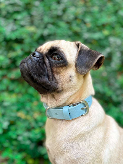 Tuff Pupper - Classic - Waterproof Collar - Sky Blue