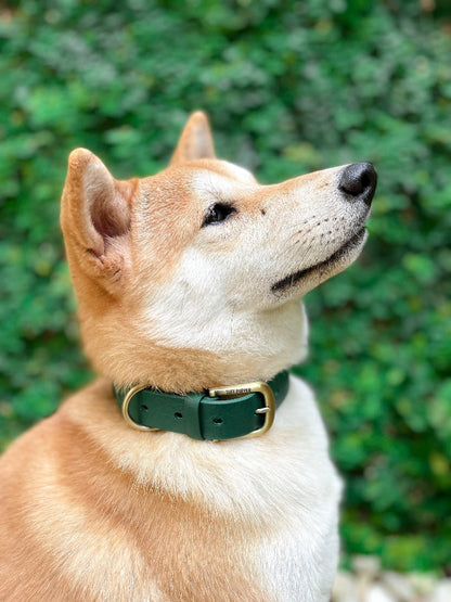 Tuff Pupper - Classic - Waterproof Collar - Forest Green