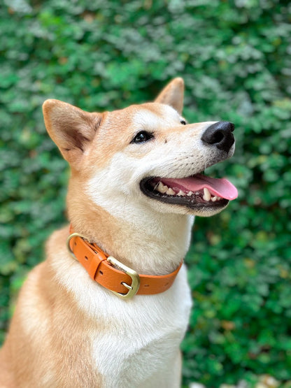 Tuff Pupper - Classic - Waterproof Collar - Burnt Orange