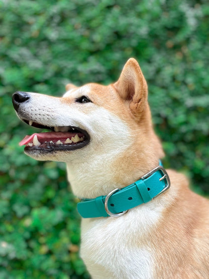 Tuff Pupper - Classic - Waterproof Collar - Tropical Teal