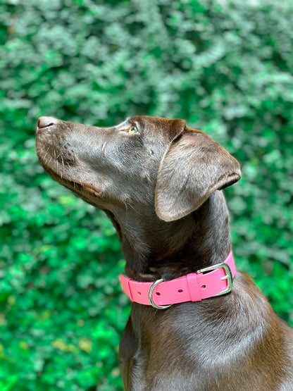 Tuff Pupper - Classic - Waterproof Collar - Punch Pink