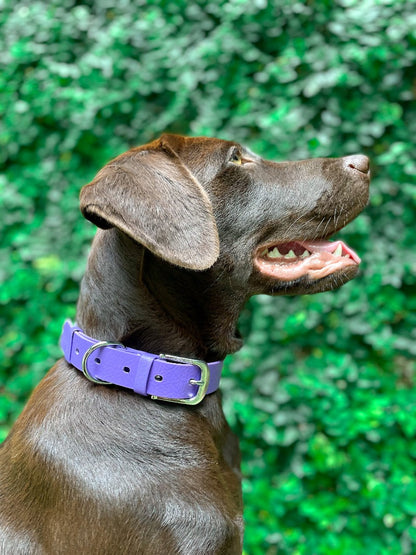 Tuff Pupper - Classic - Waterproof Collar - Royal Purple