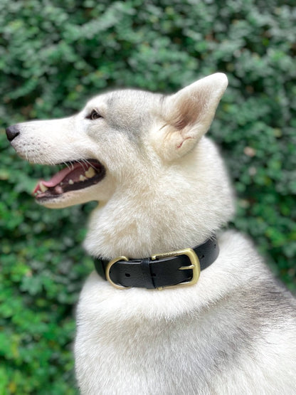 Tuff Pupper - Classic - Waterproof Collar - Epic Black