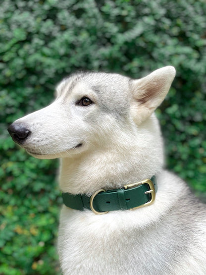 Tuff Pupper - Classic - Waterproof Collar - Forest Green