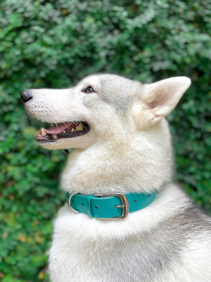 Tuff Pupper - Classic - Waterproof Collar - Tropical Teal