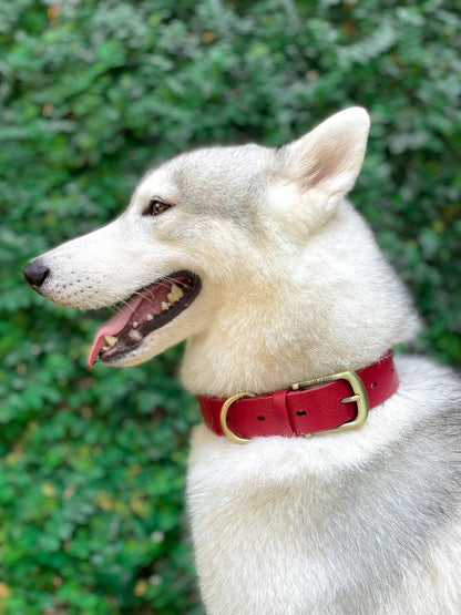 Tuff Pupper - Classic - Waterproof Collar - Crimson Red