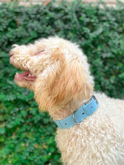 Tuff Pupper - Classic - Waterproof Collar - Sky Blue