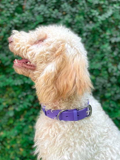 Tuff Pupper - Classic - Waterproof Collar - Royal Purple