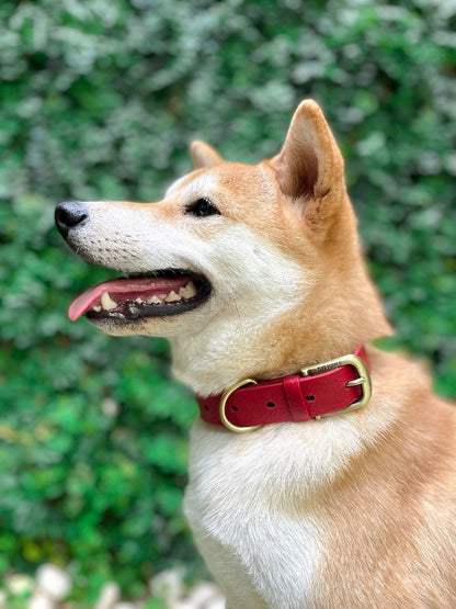 Tuff Pupper - Classic - Waterproof Collar - Crimson Red