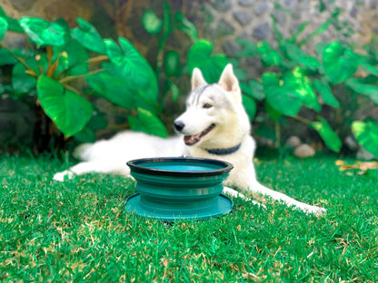 Tuff Pupper - 100oz XXL Slurp - Collapsible Bowl - Quetzal Green