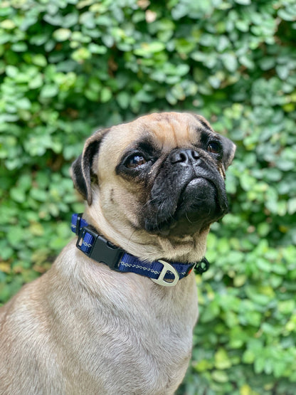 Tuff Pupper - Hero - Rugged Collar - Blazing Blue