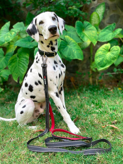 Tuff Pupper - Avail - Safety Leash - Epic Black