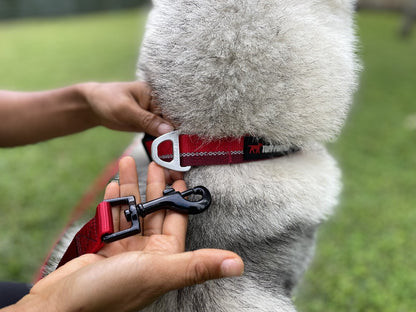 Tuff Pupper - Long Leash - Padded Handle - 30 Feet