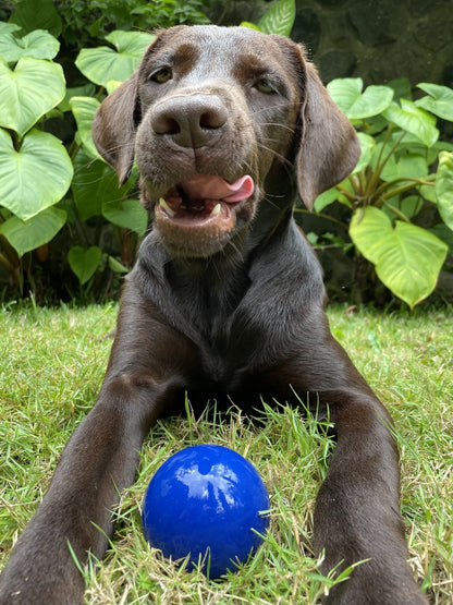 Tuff Pupper - Super Chewy - Ultra Ball - 8 oz