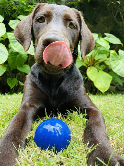 Tuff Pupper - Super Chewy - Ultra Ball - 8 oz