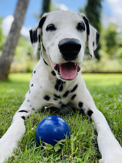 Tuff Pupper - Super Chewy - Ultra Ball - 8 oz