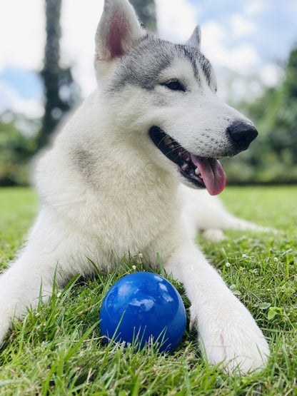 Tuff Pupper - Super Chewy - Ultra Ball - 12 oz