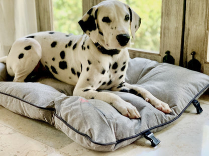 Tuff Pupper - Crazy Legs - Travel Bed - Large