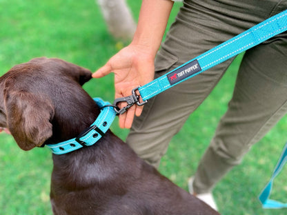 Tuff Pupper - Avail - Safety Leash - Teal