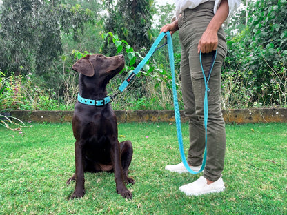 Tuff Pupper - Avail - Safety Leash - Teal