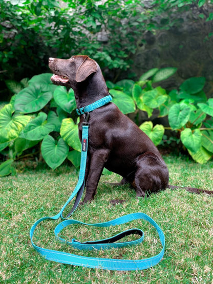 Tuff Pupper - Avail - Safety Leash - Teal