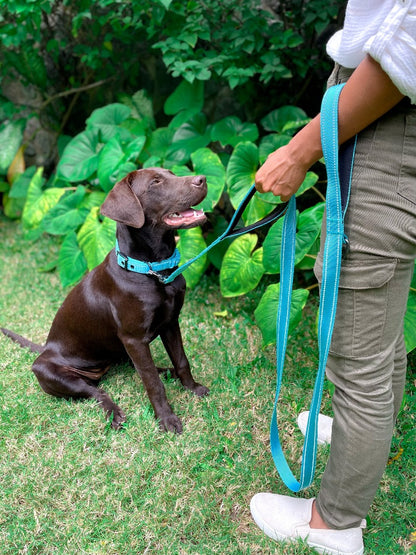 Tuff Pupper - Avail - Safety Leash - Teal