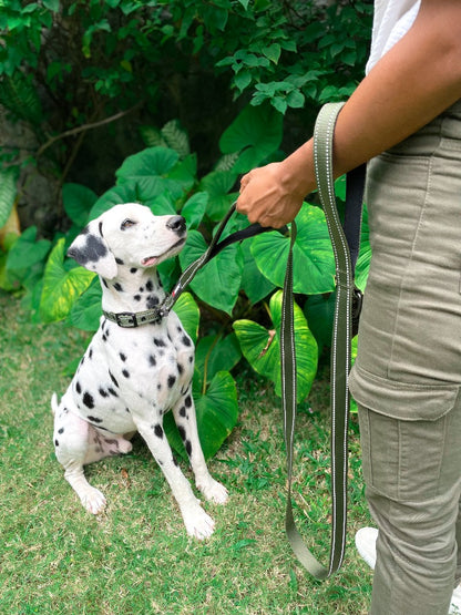 Tuff Pupper - Avail - Safety Leash - Olive