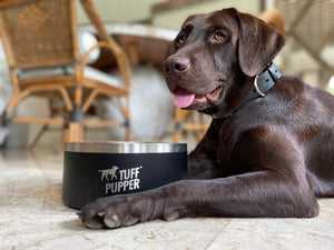 Super Big Slurp (100oz) - Collapsible Travel Bowls – Tuff Pupper