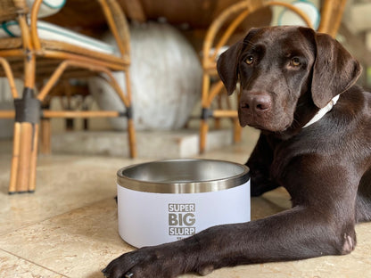 Tuff Pupper - Super Big Slurp - 100oz Bowl - Snow White