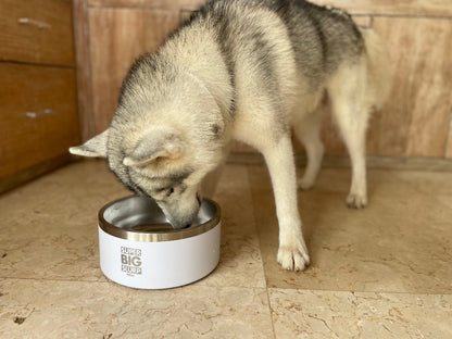 Tuff Pupper - Super Big Slurp - 100oz Bowl - Snow White