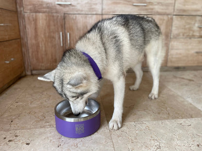 Tuff Pupper - Super Big Slurp - 100oz Bowl - Royal Purple