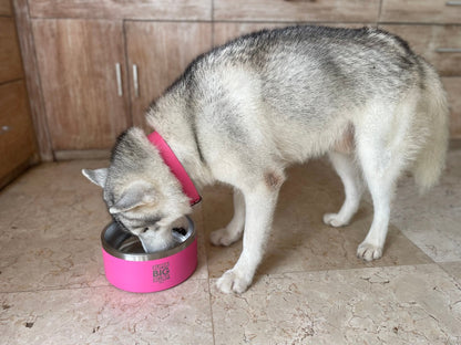 Tuff Pupper - Super Big Slurp - 100oz Bowl - Punch Pink