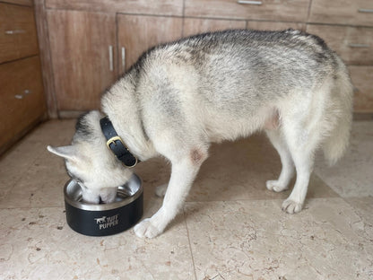 Tuff Pupper - Super Big Slurp - 100oz Bowl - Epic Black