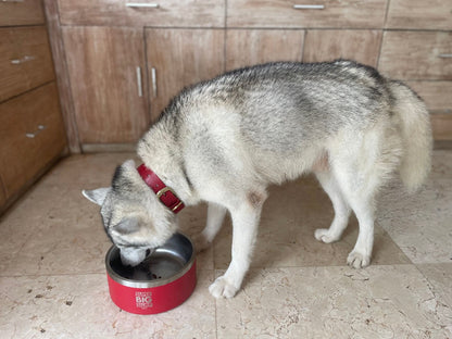 Tuff Pupper - Super Big Slurp - 100oz Bowl - Crimson Red