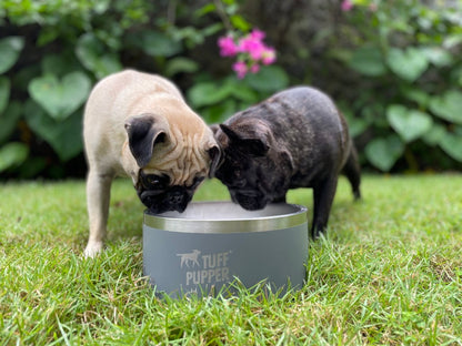 Tuff Pupper - Super Big Slurp - 100oz Bowl - Cool Grey