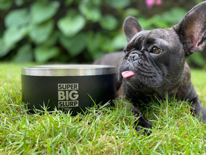Big Slurp (60oz) - Collapsible Travel Bowls – Tuff Pupper