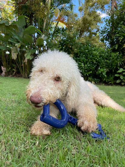 Tuff Pupper - Super Chewy - Tug Pull - Super Chewy - Tug Pull